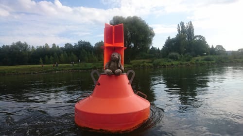 Paddeln an der Elbe