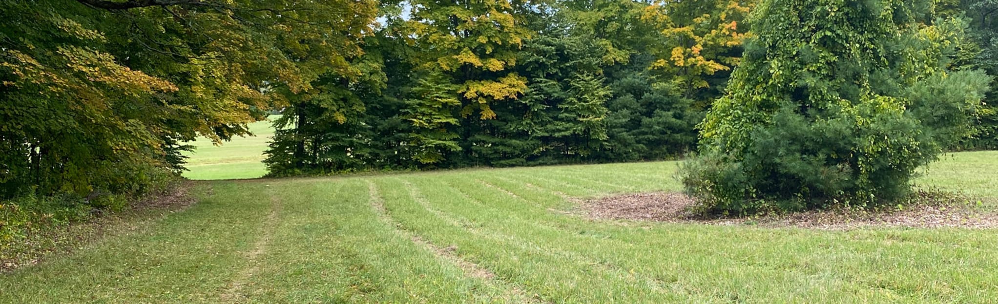 Goodnow Preserve Lower Loop, Massachusetts 15 Reviews, Map AllTrails