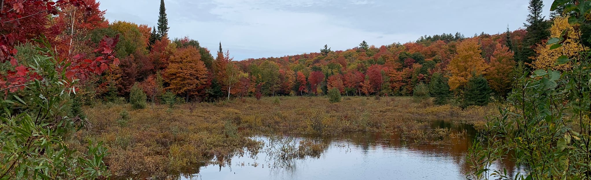 Firetower via Trail 1 Ridge Road 22 Reviews, Map Quebec, Canada
