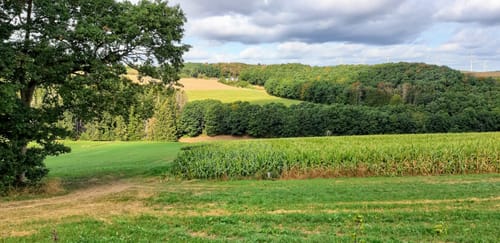 Heilhausen: Wanderweg 87