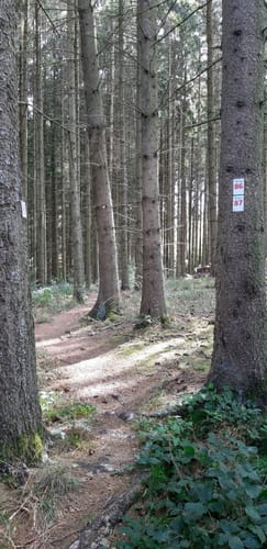 Heilhausen: Wanderweg 87