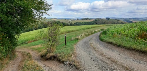 Heilhausen: Wanderweg 87