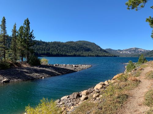 are dogs allowed at independence lake