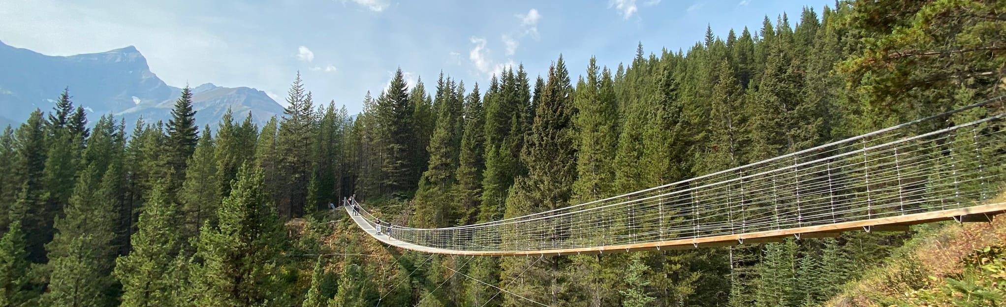 Blackshale Suspension Bridge Alberta, Canada AllTrails