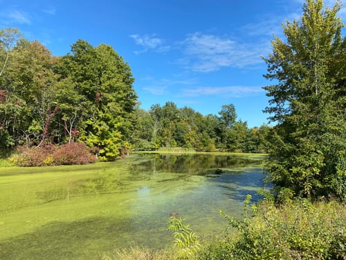 East Fork Hiking Trails Best 10 Trails In East Fork State Park | Alltrails