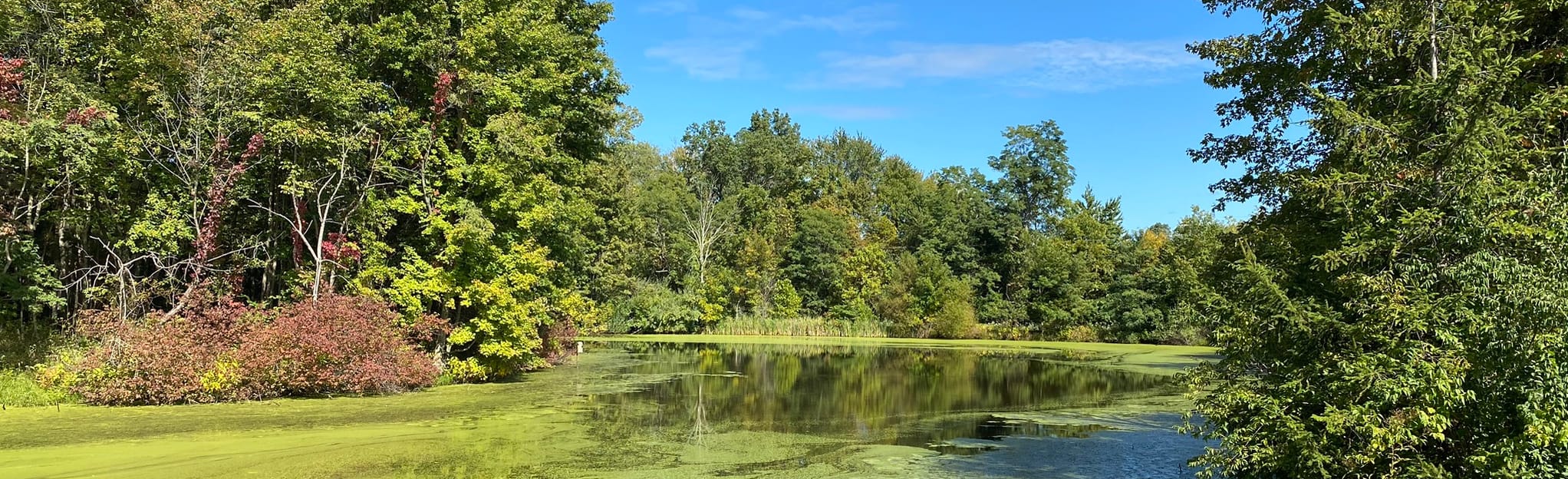 Adena Loop Trail, Ohio 894 Reviews, Map AllTrails