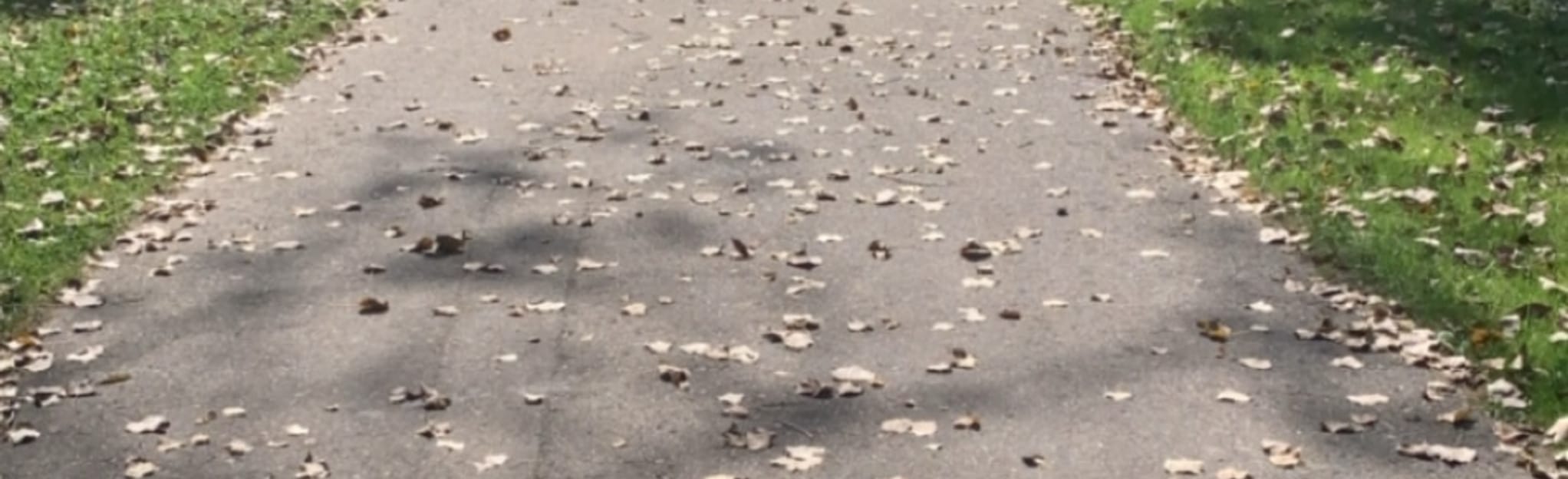 Byram Lake 35 Reviews, Map Michigan AllTrails