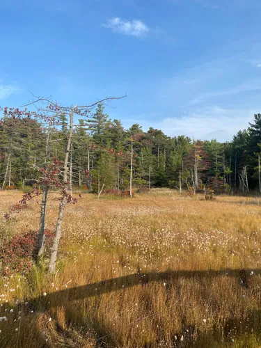 Best Hikes and Trails in Laurel Summit State Park AllTrails