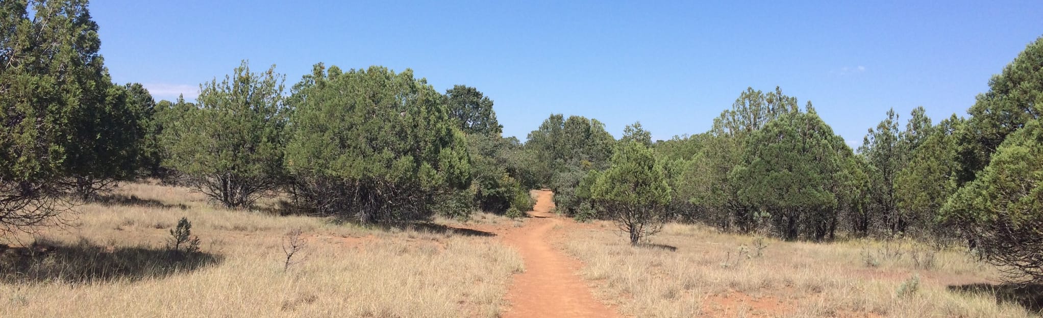 CDT, Divide Access, and Wagon Wheel Loop 46 fotos Novo México