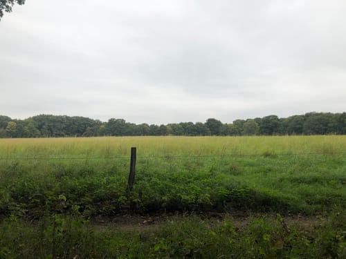 Durch das Naturschutzgebiet Hainesch-Illand