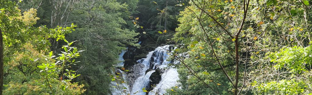 swallow falls