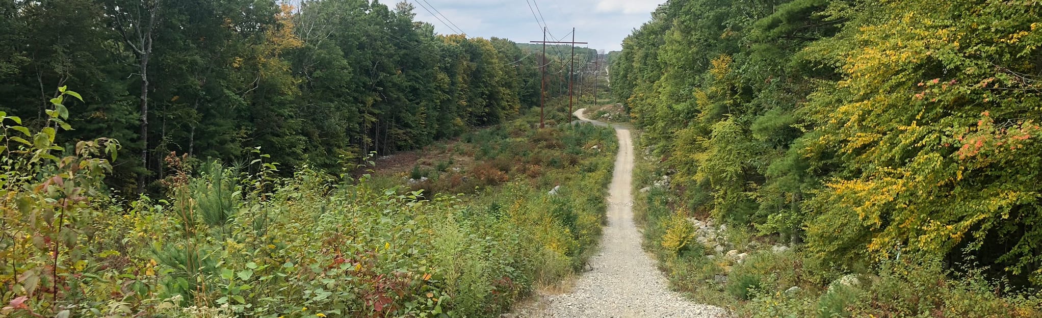Jefferson Peak Loop via Bridle Road, Massachusetts 114 Reviews, Map AllTrails
