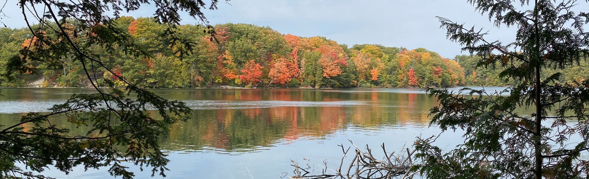 Oak Ridges Trail Bond Lake Wilcox Lake 119 Reviews, Map Ontario