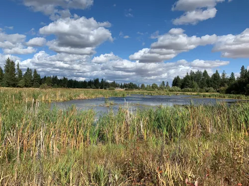 10 Best Trails And Hikes In Cheney | AllTrails