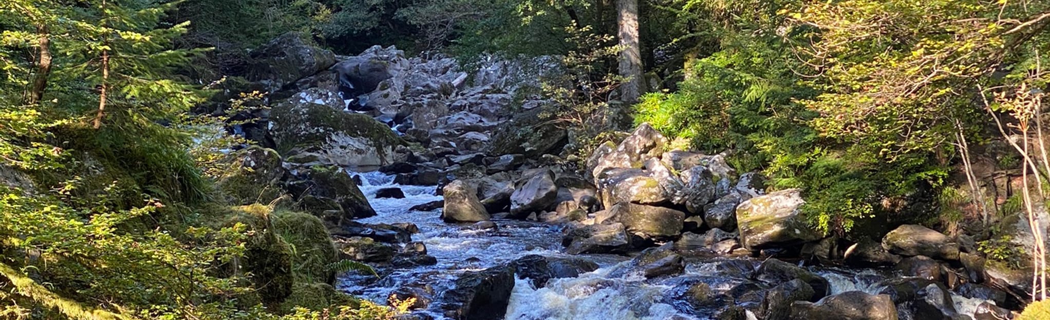 Dunkeld, The Hermitage, and Birnam, Perth and Kinross, Scotland 30