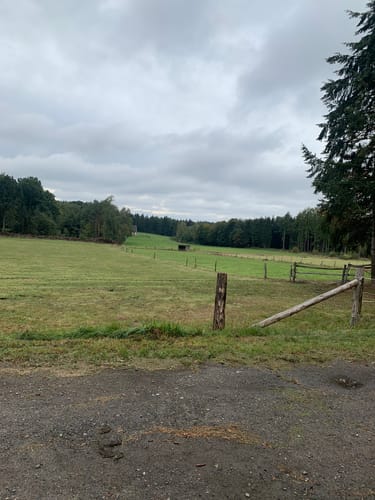 CTF Wadenkneifer - 32er Strecke