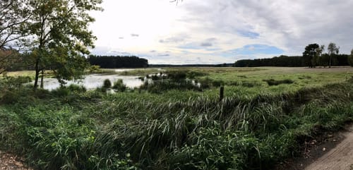 Rundwanderweg Riebener See