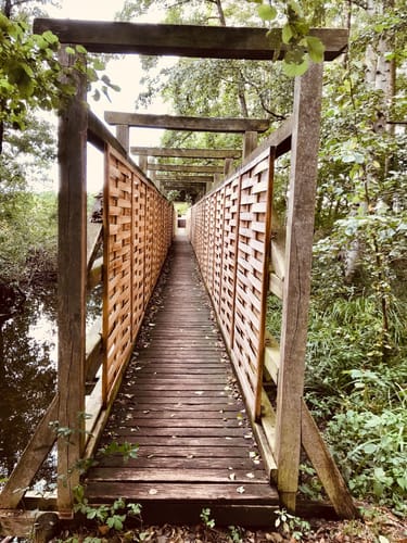 Rundwanderweg Riebener See