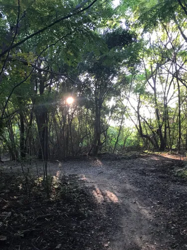 2023 Best 10 Trails And Hikes In Houston | AllTrails