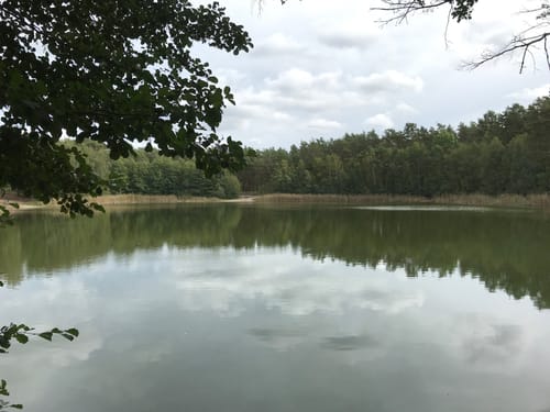 Teupitz - Tornower See - Hohe Mühle