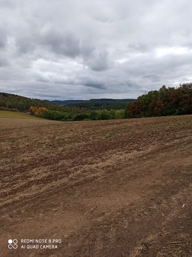 Nörtener Wald ab Nörten-Hardenberg