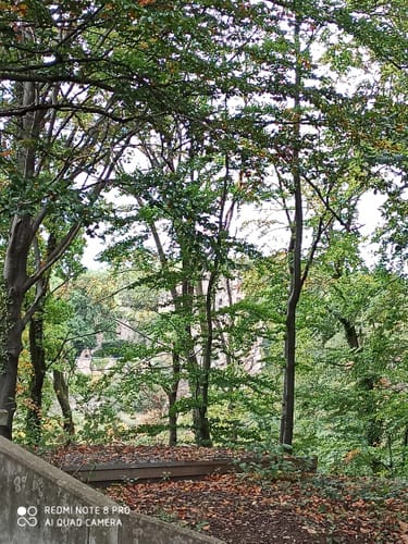 Nörtener Wald ab Nörten-Hardenberg