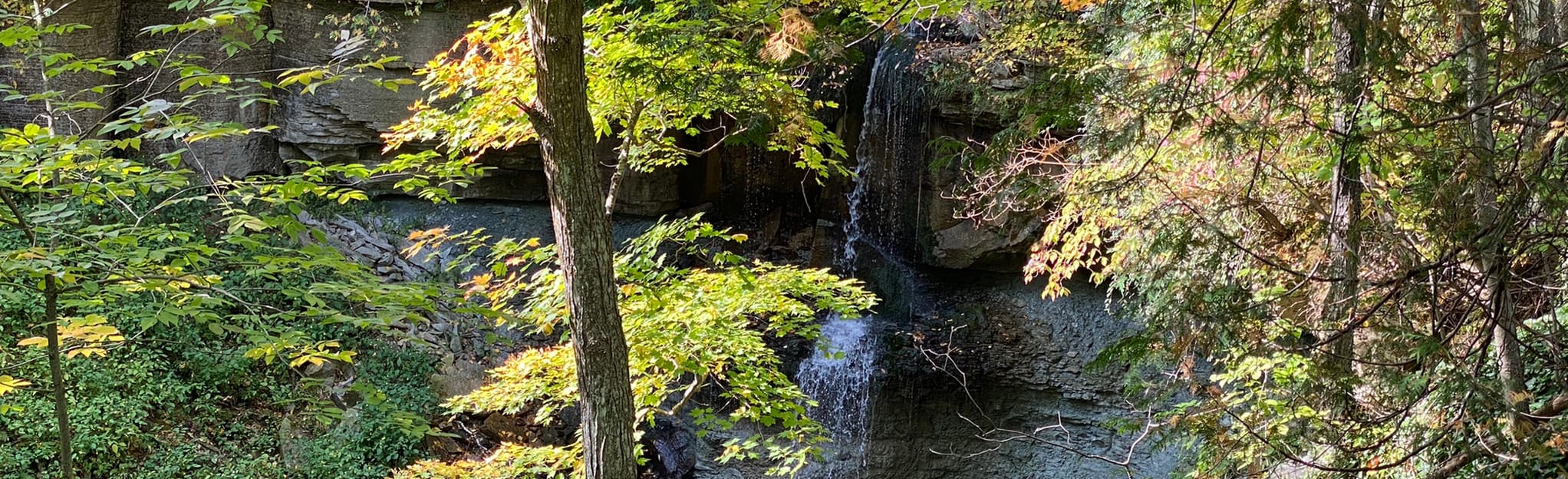 bwood Falls, Ontario, Canada 57 Reviews, Map AllTrails