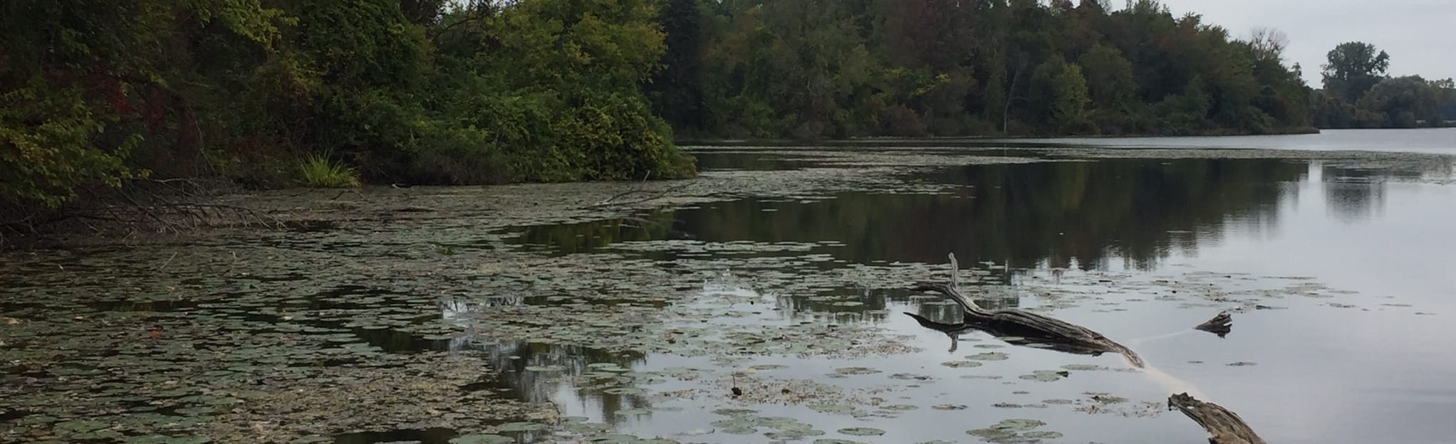 Plumb Lake Trail, Michigan 103 Reviews, Map AllTrails