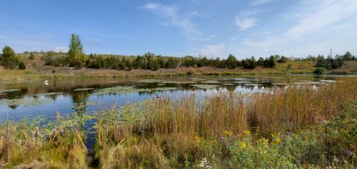 Best 10 Hikes and Trails in Rouge National Urban Park | AllTrails