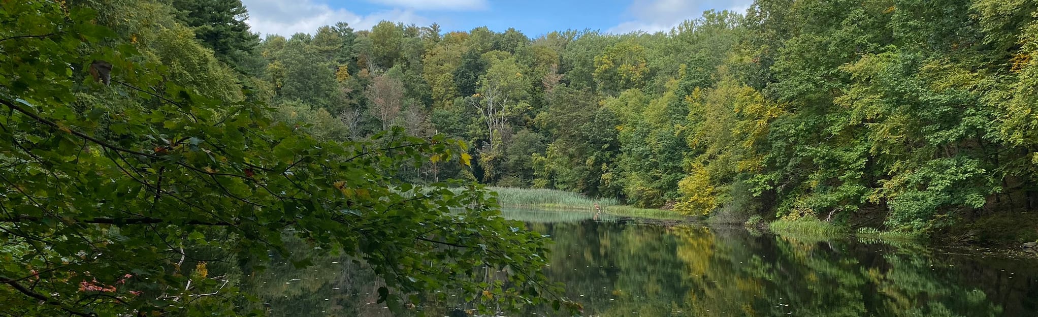 Westmoreland Sanctuary South Loop Map, Guide New York AllTrails