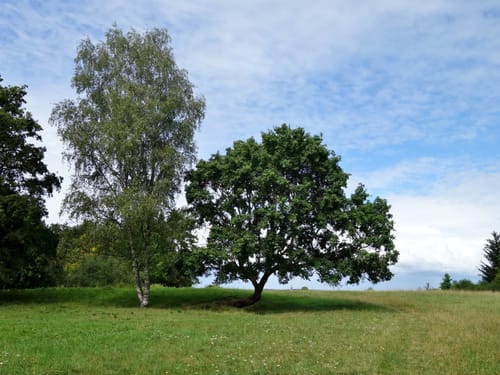 Altmühltal-Panoramaweg Etappe 10: Kipfenberg - Kinding