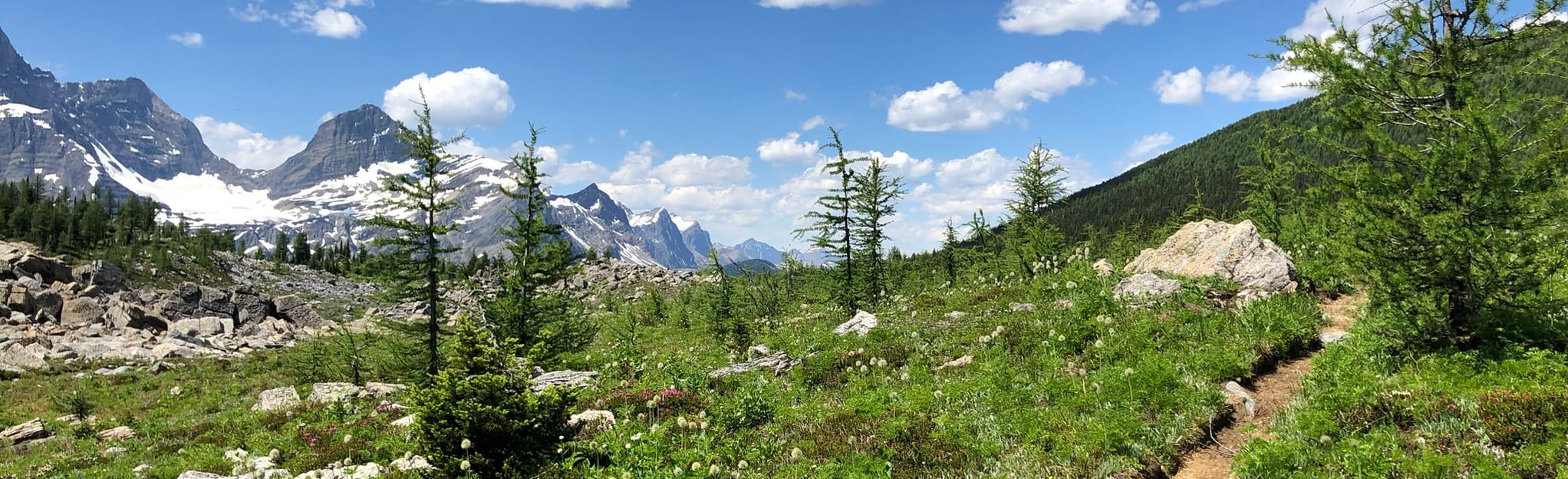 McArthur Creek to Helmet Falls via Goodsir Pass, British Columbia