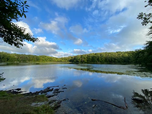 Pittsfield State Forest Atv