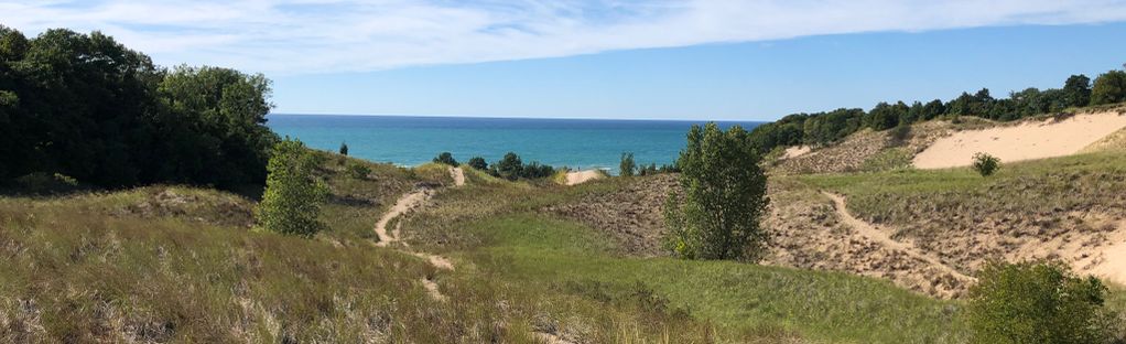 are dogs allowed at warren dunes state park