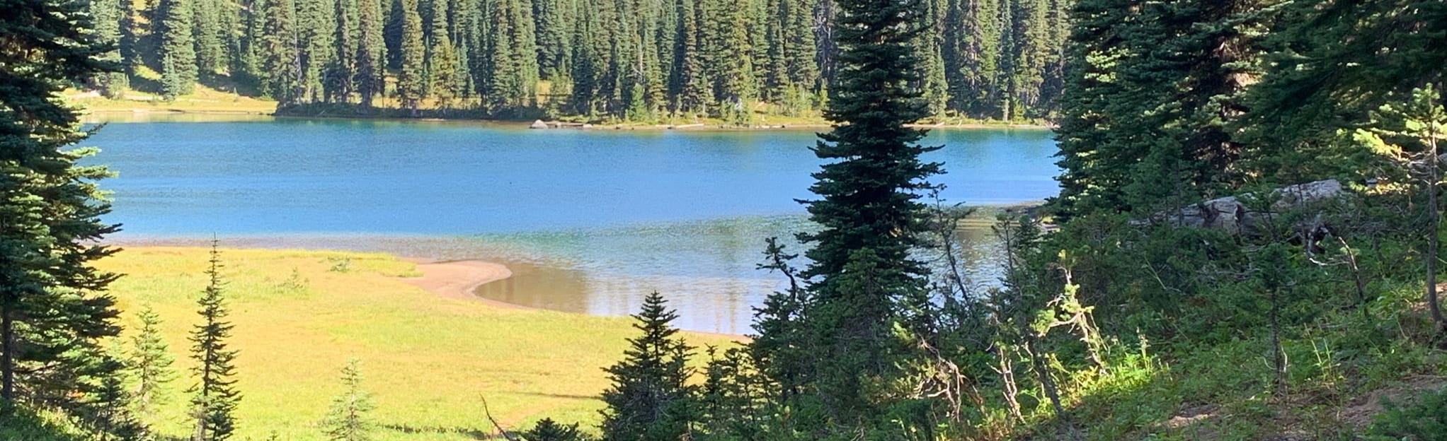 Hidden Lake Spur via Palisades Lake Trail 486 foto's Washington