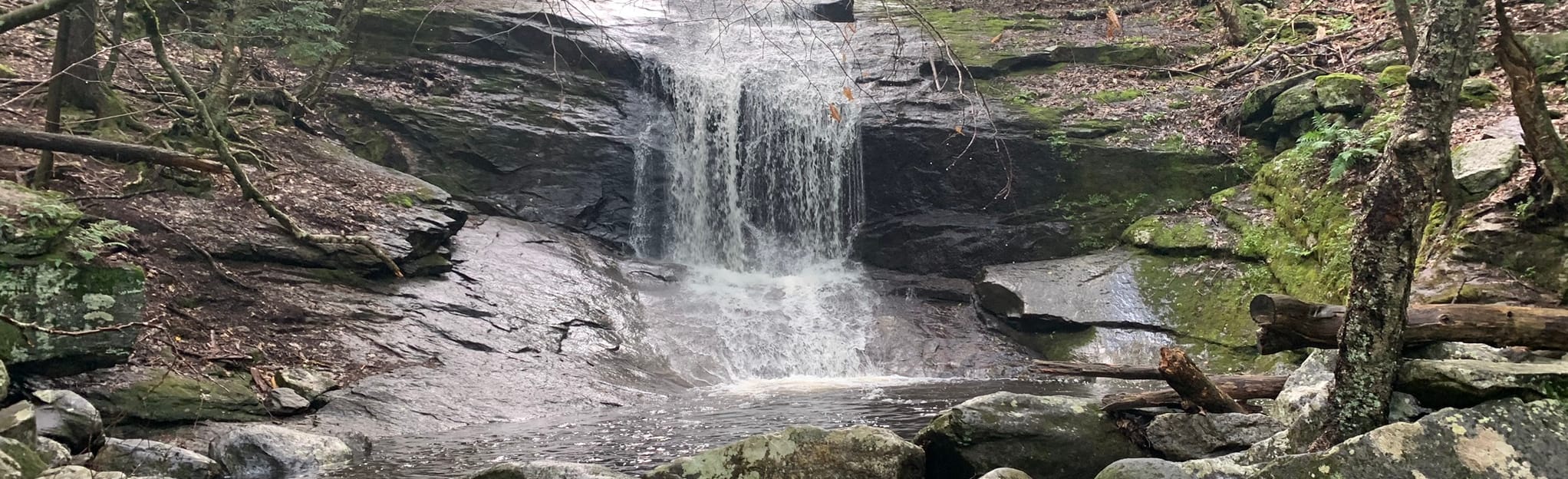 Two Bridges and Chapel Falls Trail 450 foto Massachusetts AllTrails
