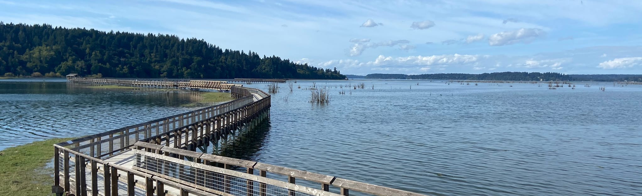 Nisqually Estuary Boardwalk and Twin Barns Trail 2.928 foto's Washington AllTrails