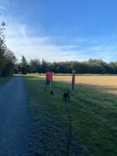 Rundweg um Fümmelsee