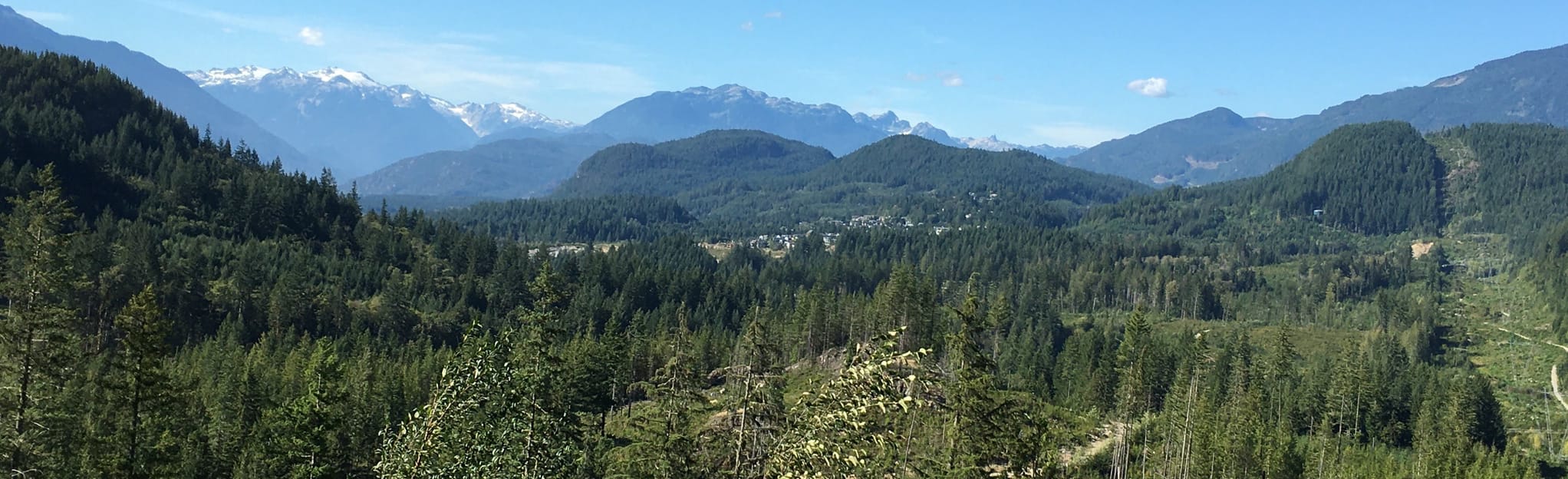 Mamquam River Forest Service Road - EyJidWNrZXQiOiJhc3NldHMuYWxsdHJhaWxzLmNvbSIsImtleSI6InVwbG9hZHMvcGhvdG8vaW1hZ2UvMjkwMjUxMTgvYmJjZGZkYTJkYzE3OTdhOGU2MGFlMGJiMWIyZDdjZWUuanBnIiwiZWRpdHMiOnsidG9Gb3JtYXQiOiJqcGVnIiwicmVzaXplIjp7IndpZHRoIjoyMDQ0LCJoZWlnaHQiOjYyNCwiZml0IjoiY292ZXIifSwicm90YXRlIjpudWxsLCJqcGVnIjp7InRyZWxsaXNRdWFudGlzYXRpb24iOnRydWUsIm92ZXJzaG9vdERlcmluZ2luZyI6dHJ1ZSwib3B0aW1pc2VTY2FucyI6dHJ1ZSwicXVhbnRpc2F0aW9uVGFibGUiOjN9fX0=