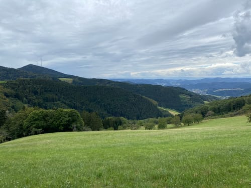 Harmersbacher Vesperweg (Genießerpfad)