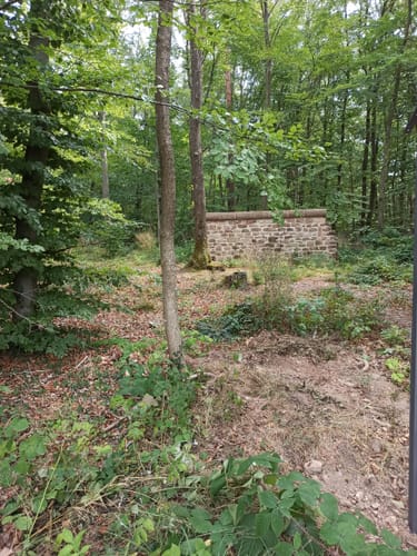 Am Aussichtsturm Zemmer