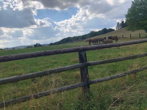Kettwiger Panoramasteig (kurz)