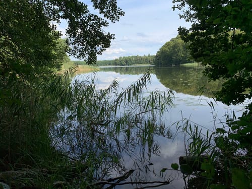 Kleine Runde im Salemer Moor
