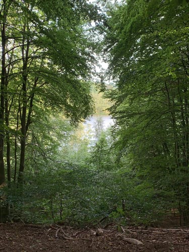 Kleine Runde im Salemer Moor