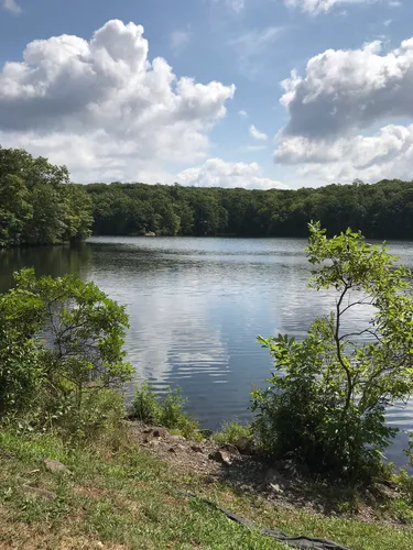 Best Mountain Biking Trails in Millers Pond State Park AllTrails