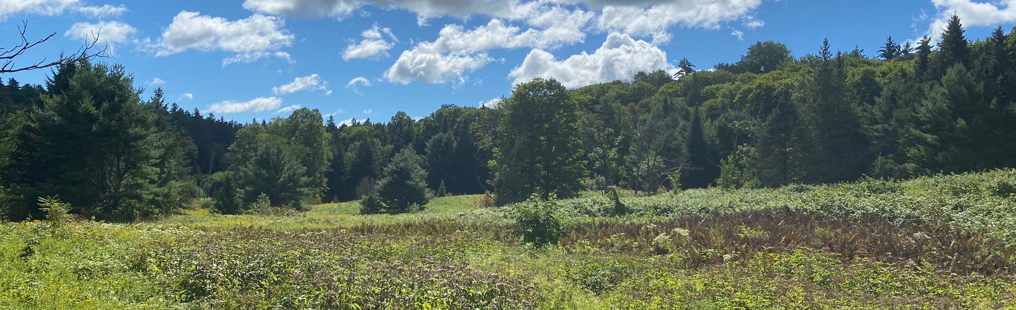 The Great Trail Lac Philippe przez Wakefield i Trail 51 Quebec, Canada AllTrails