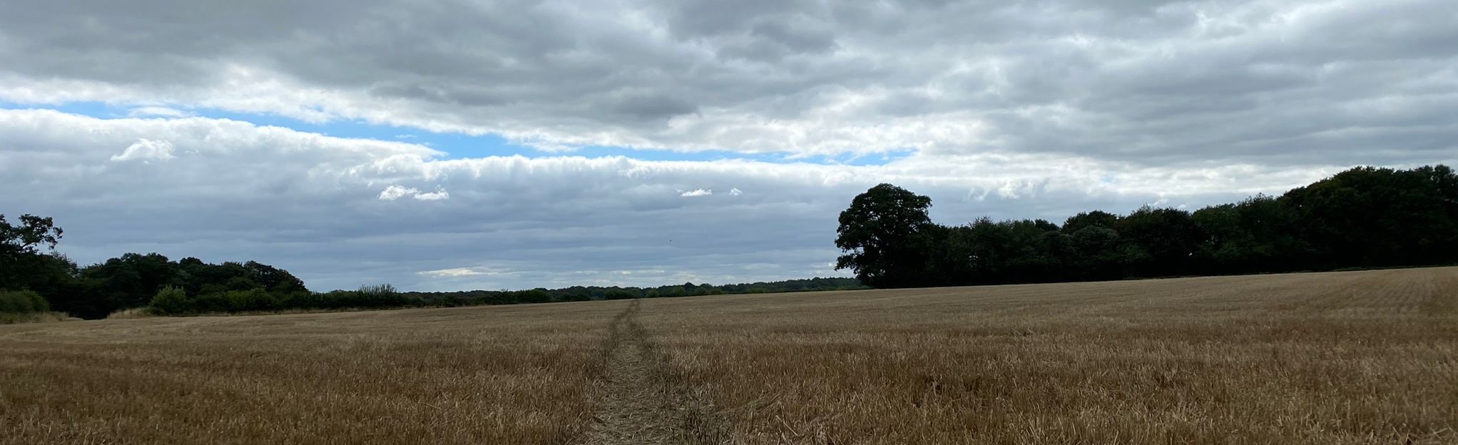 Buckland Common Circular, Hertfordshire, England - 3 Reviews, Map ...