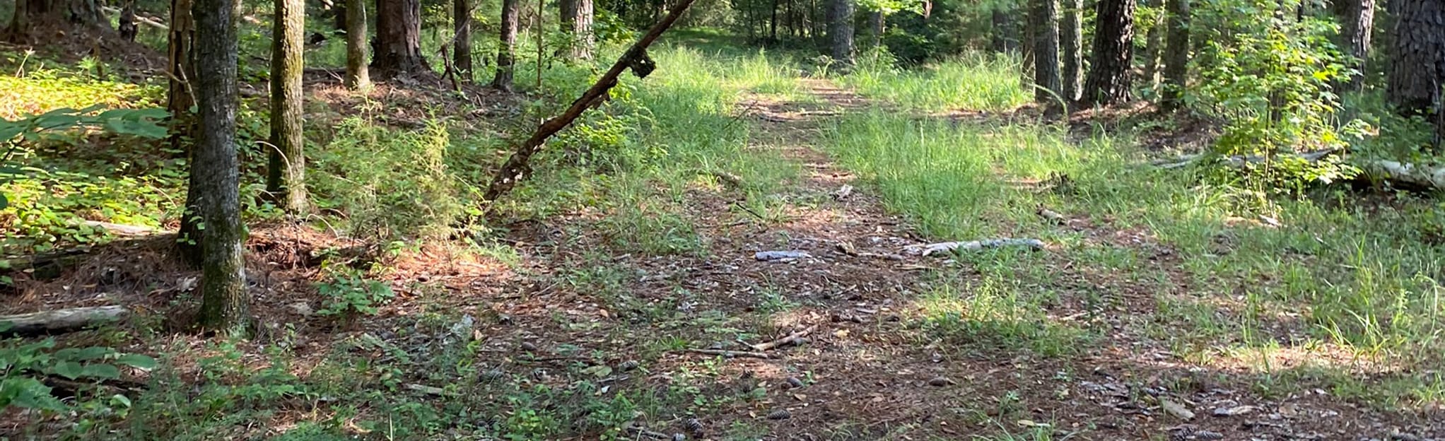 Six North Walk, South Carolina 8 Reviews, Map AllTrails