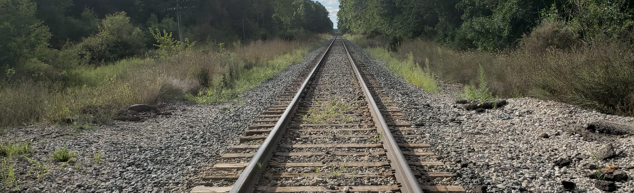 Chief Pontiac Hiking Trail, Michigan 73 Reviews, Map AllTrails