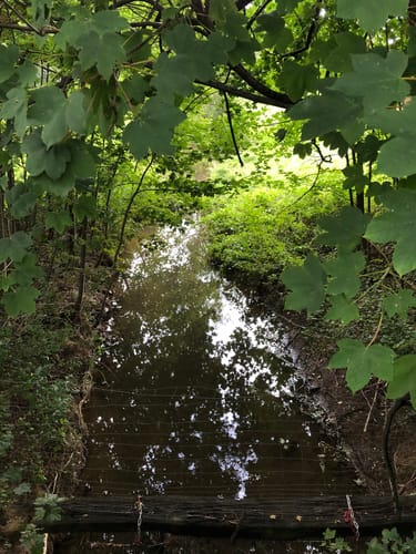 Wenden - Schönau Runde